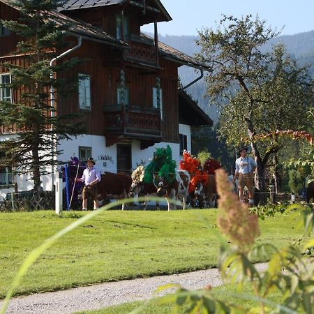 Gaestehaus Hoegerhof ฮอพฟ์การ์เทน อิม บริกเซนทัล ภายนอก รูปภาพ