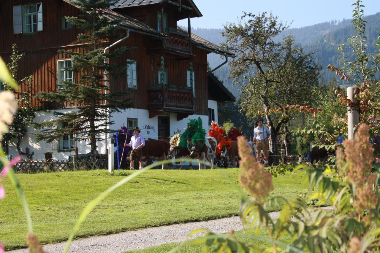 Gaestehaus Hoegerhof ฮอพฟ์การ์เทน อิม บริกเซนทัล ภายนอก รูปภาพ